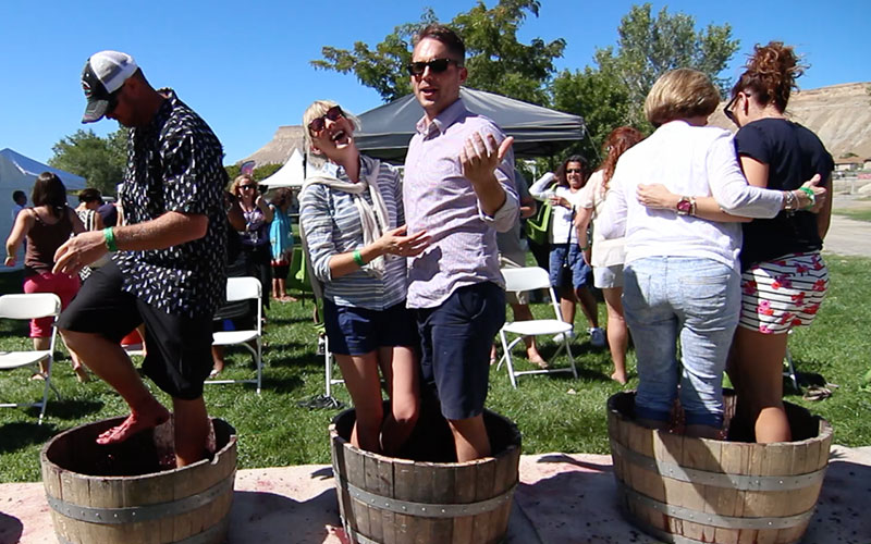 Grape-Stomp-1