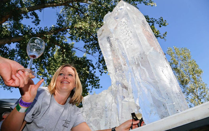 Ice-Sculpting-2