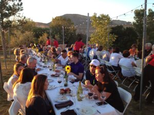feast in the vineyard 3