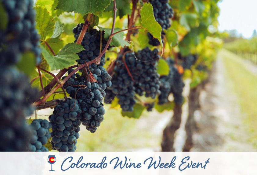 ColoradoWineWeek overlay WineEducation BuckelFamilyWine